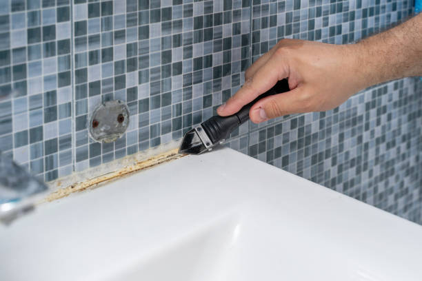 Best Local Mold Removal Service  in Carbondale, IL
