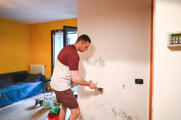 Best Mold Removal and Inspection  in Carbondale, IL